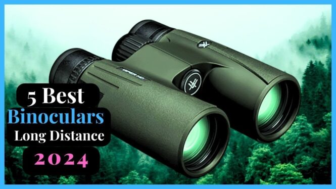 Best binoculars for long distance viewing 2024