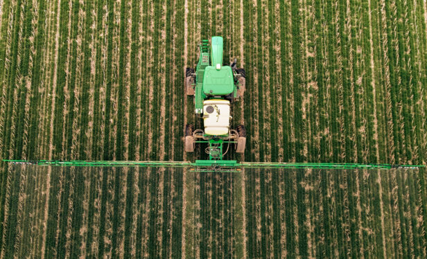 How ‘Glowing’ Plants Could Help Scientists Predict Flash Drought