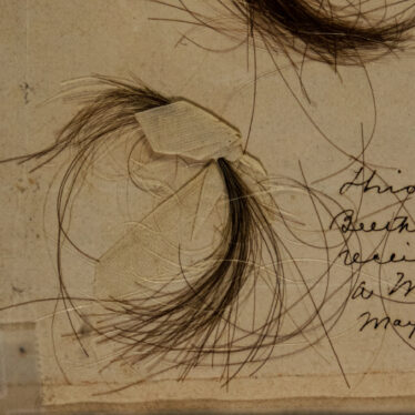 Lead in Beethoven’s Hair Offers New Clues to Mystery of His Deafness