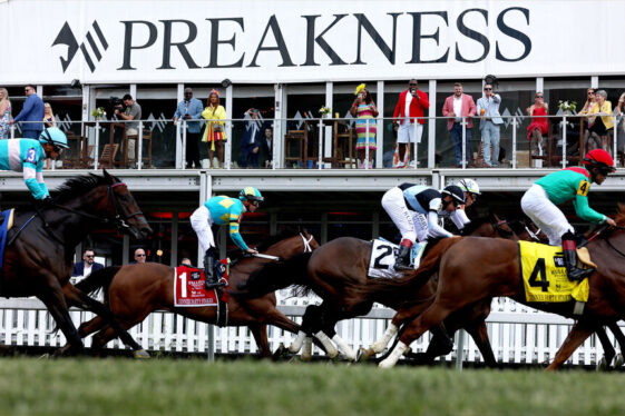Preakness Stakes 2024 live stream: Can you watch for free?