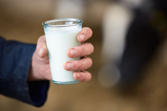 Raw milk fans plan to drink up as experts warn of high levels of H5N1 virus