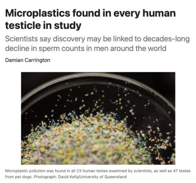 Scientists Find Microplastics in Human and Dog Testicles