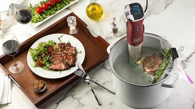 Sous vide machines aren’t haute cuisine, they’re Millennial crockpots — and that’s why they’re perfect