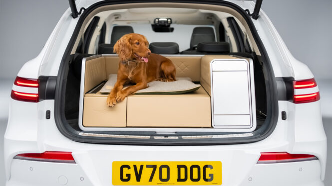 Your dog’s favorite EV –this car’s modular trunk has a power shower, heated bed and hairdryer to turn it into a pooch palace