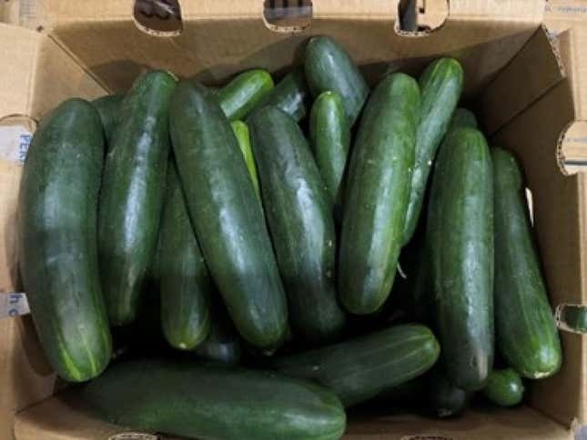 CDC Says Cucumbers Likely Cause of Salmonella Outbreak in 25 States