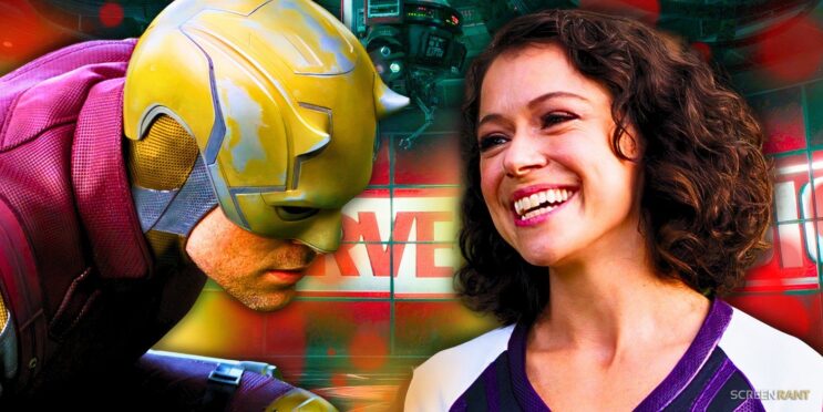 Daredevil & She-Hulks MCU Relationship Status Gets An Update From Tatiana Maslany