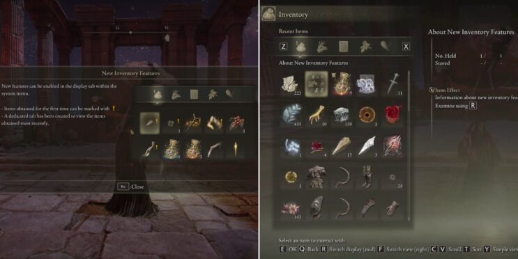 Elden Ring: Shadow Of The Erdtree – How To Enable New Inventory Settings