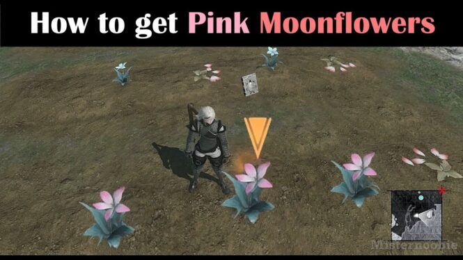How To Get Pink Moonflower Seeds In Nier Replicant (& What Its For)