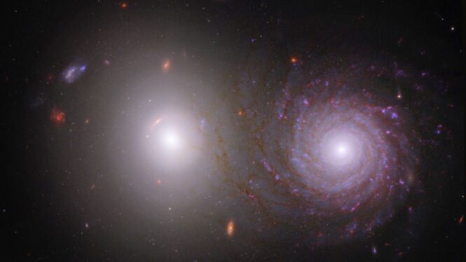 Hubble Views a Dim but Distinct Galaxy