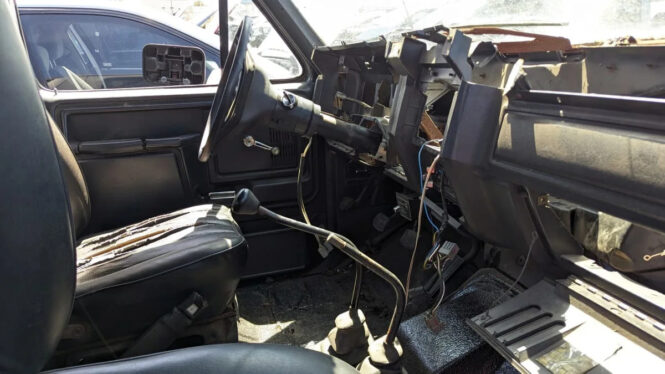 Junkyard Gem: 1983 Ford Bronco