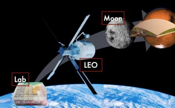 Mycotecture off Planet: En route to the Moon and Mars