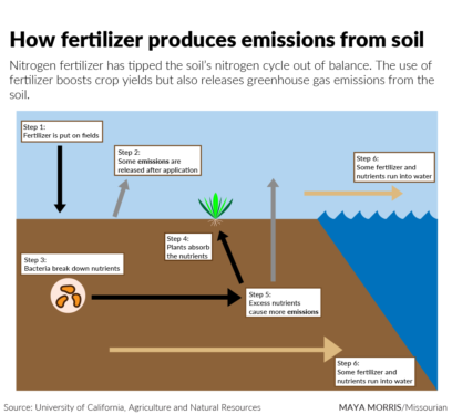 Nitrogen-using bacteria can cut farms’ greenhouse gas emissions 