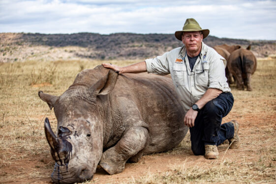 Scientists Inject Radioactive Material Into Live Rhino Horns Making Them Poisonous to Humans