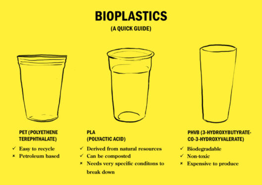 The Music Industry Has a Plastic Waste Problem. Can This ‘Ugly’ Cup Solve It?