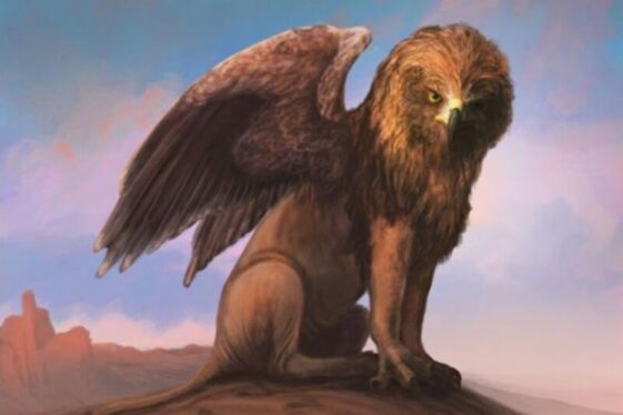 The mythical griffin was not inspired by a horned dinosaur, study concludes