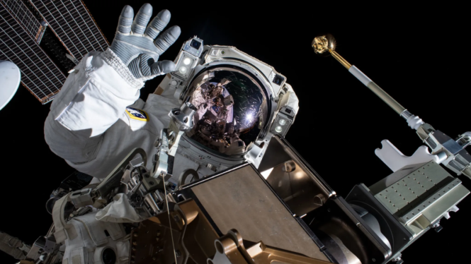 This is how a NASA astronaut will swab the ISS exterior for microbes