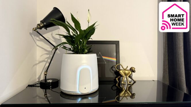 This plant is secretly a smart air purifier with washable filters – and it connects to Alexa, too