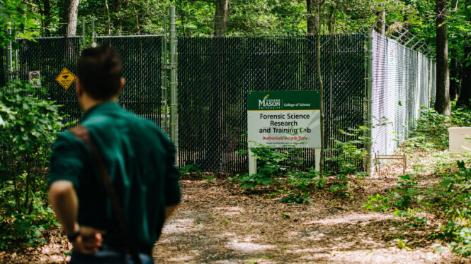 ‘Tiny Crime Fighters With Wings’: Bees Go to Work on a Virginia ‘Body Farm’