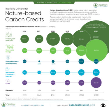 What is ‘nature-based carbon removal’ and is it any better than carbon offsets?