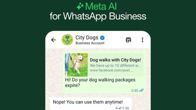 WhatsApp Business is getting a whole load of AI boosts to make it easier for you to interact with firms