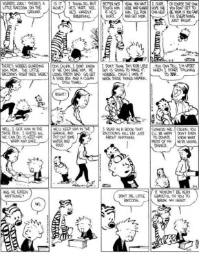 10 Longest Calvin and Hobbes Storylines