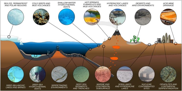 An Ancient Partnership: Co-Evolution of Earth Environments and Microbial LifeAn Ancient Partnership: