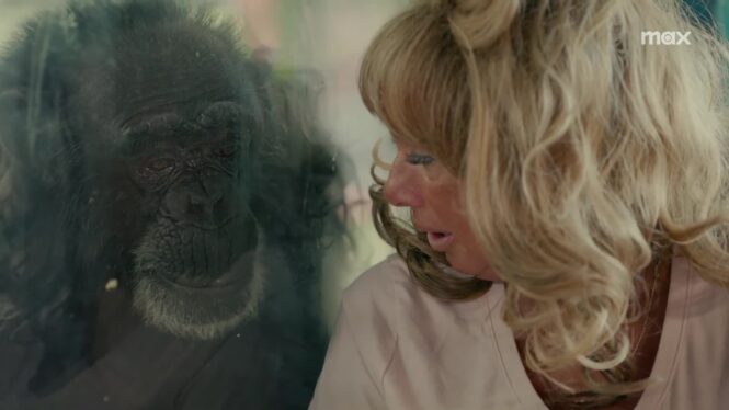 Chimp Crazy Official Teaser Trailer