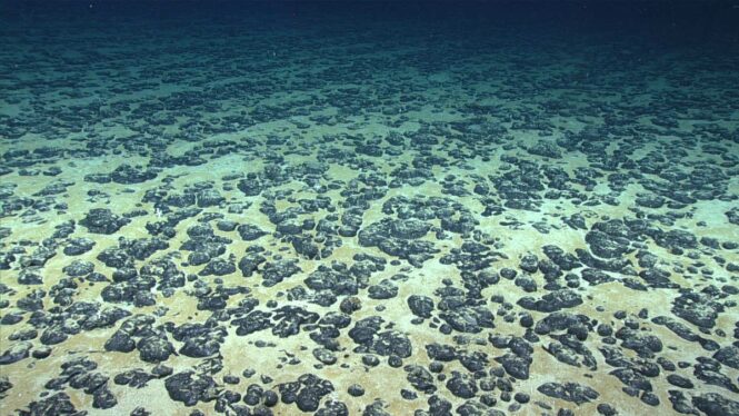 Discovery of ‘dark oxygen’ from deep-sea metal lumps could trigger rethink of origins of life