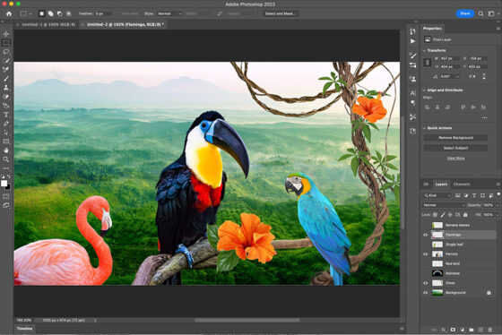 How much is Adobe Photoshop? Here are all your options