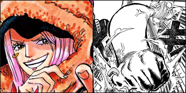 How One Piece’s Bonney Obtained The Series’ Strongest Power Explained