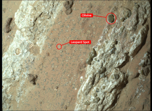 NASA’s Perseverance Rover Finds Hints of Potential Ancient Life on Mars Rock