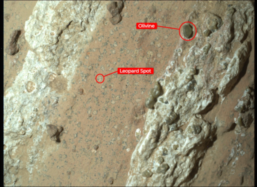 NASA’s Perseverance rover found a rock on Mars that could indicate ancient life