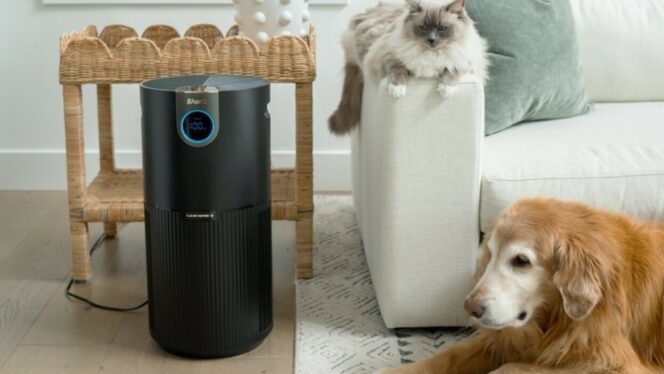 Take $100 off the Shark Air Purifier Max and breathe easy during wildfire season