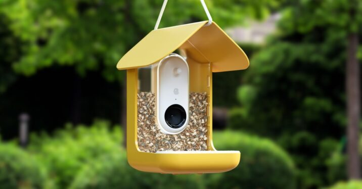 The Best Bird Feeders With Cameras (2024): Bird Buddy, Netvue Birdfy, FeatherSnap