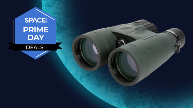 These durable Celestron Nature DX 12×56 binoculars have dipped below $200 at Amazon