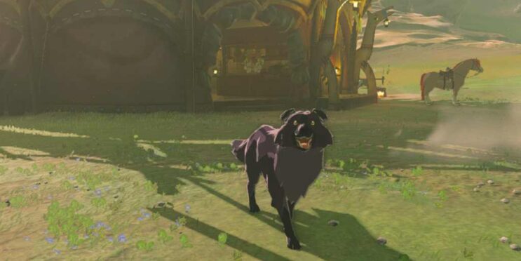 Zelda Player Finds Hilarious Problem With Feeding Dogs To Find Treasure In TOTK