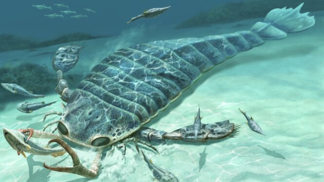 Fossils Show Giant Predatory Sea Scorpions Were Distance Swimmers