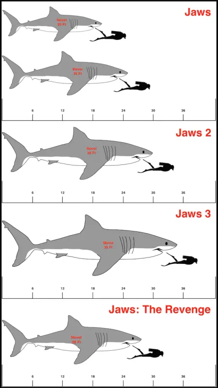 How Big The Shark In Jaws Was (& Comparison To The Largest Great White Sharks Ever)