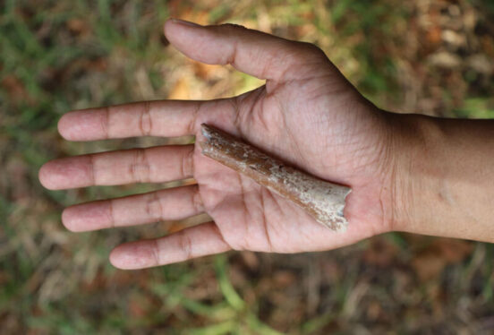 Indonesia’s tiny hobbits descended from even smaller ancestors