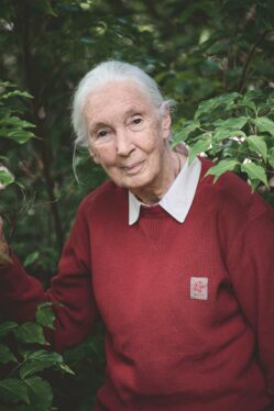 Jane Goodall Thinks It’s Not Too Late to Save the World