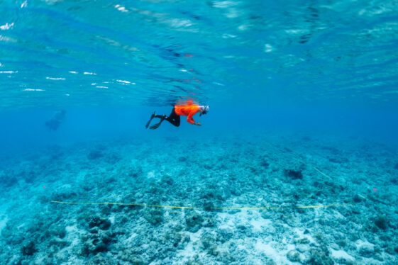 NASA Project in Puerto Rico Trains Students in Marine Biology