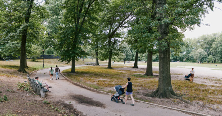 NO2 Emissions in Can Undo Some Benefits of City Trees, Study Finds