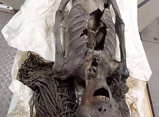 “Screaming Woman” mummy may have died in agony 3,500 years ago, study finds