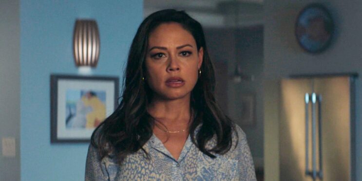 Vanessa Lachey Update Offically Kills All Hope For An NCIS: Hawai’i Season 4