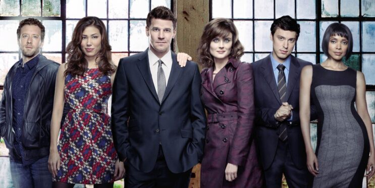 Another Bones Alum Is Up For A Reboot After David Boreanz & Emily Deschanel Express Interest