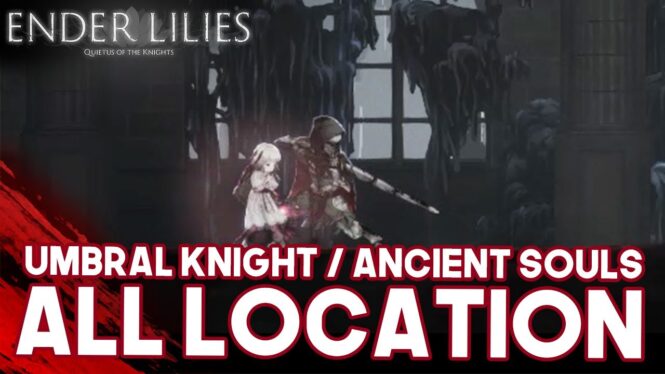 Ender Lilies: Quietus of the Knights – Where To Find Ancient Souls (All Locations)