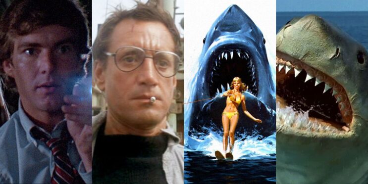 Every Jaws Movie Ranked, Worst To Best