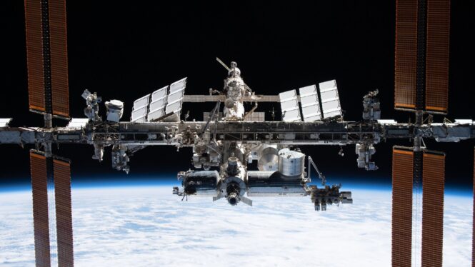 Heart tissues beat half as strongly on the ISS as they do on Earth