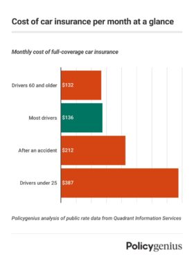 How much does car insurance cost?