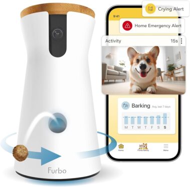 Need to keep tabs on your dog? This pet camera is on sale for $18